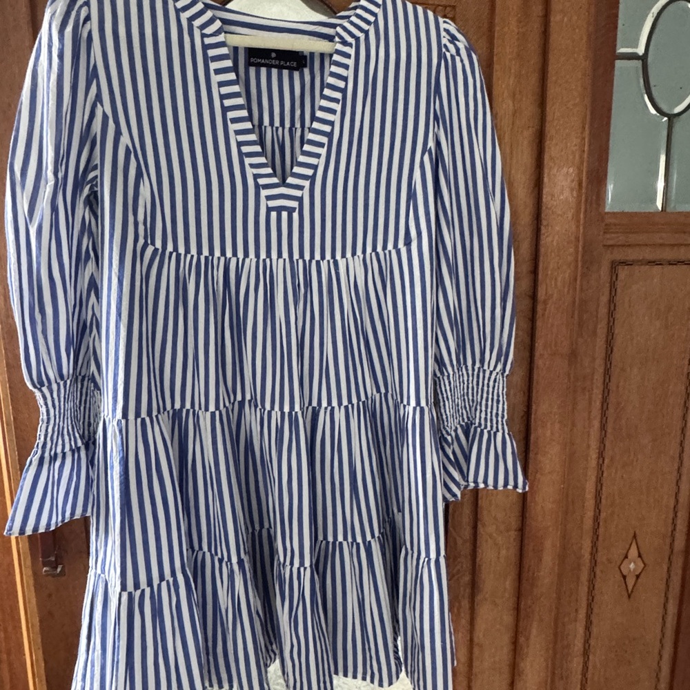 Tuckernuck Pomander Place Blue and White Striped dress size L - Picture 2 of 5